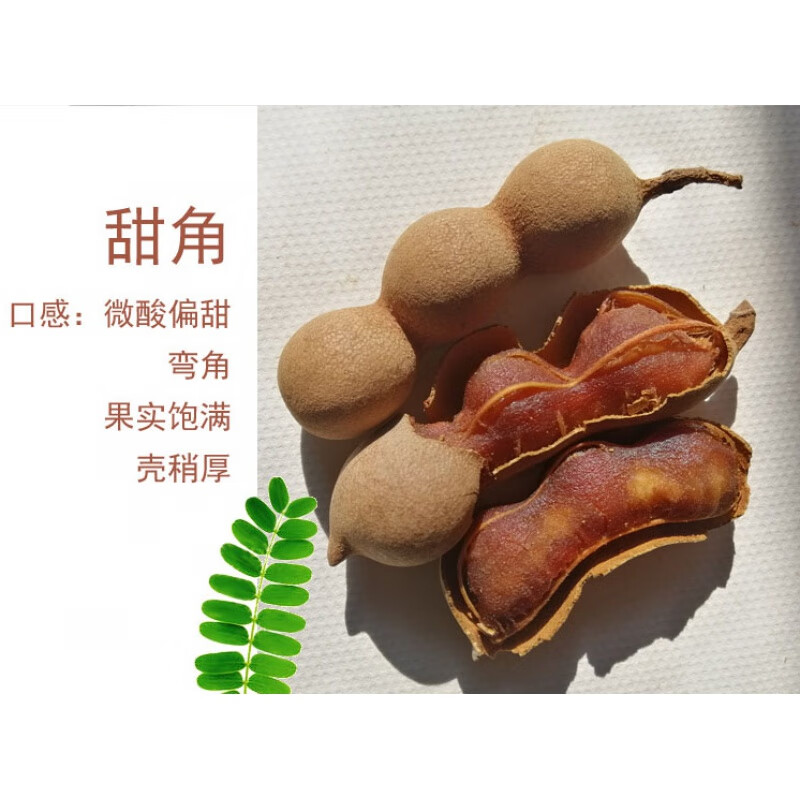 映棠【甜角酸角】當季泰國特產(chǎn)羅望子酸豆散裝休閑孕婦網(wǎng)紅鮮果 甜角500g(偏甜+100g)