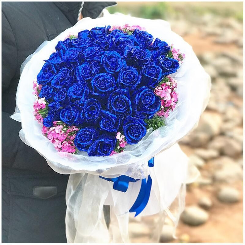 为什么不能轻易送蓝色妖姬(为什么不能轻易送蓝色满天星)