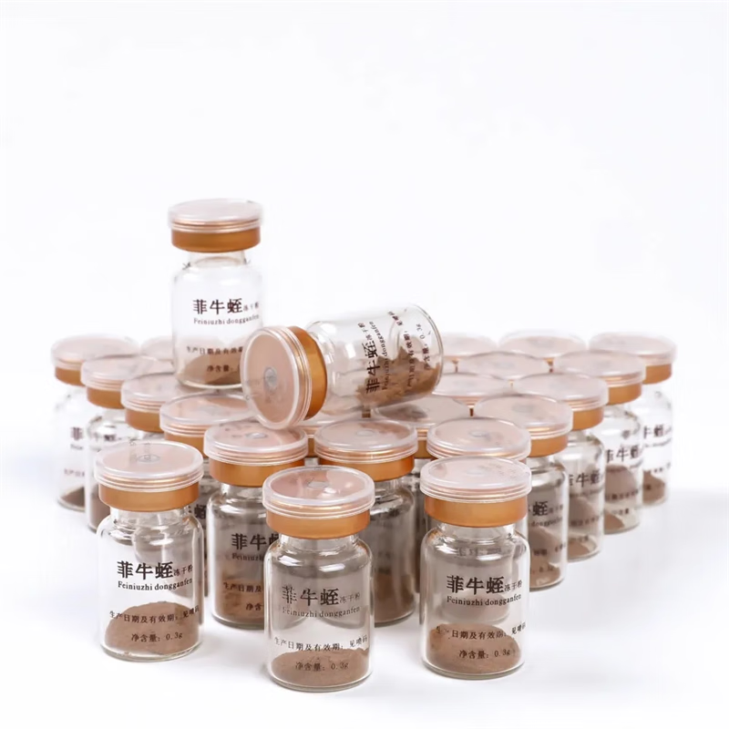 北京同仁堂 原料菲牛蛭冻干粉云南天然水蛭素水蛭粉蚂蟥素6盒30瓶 带