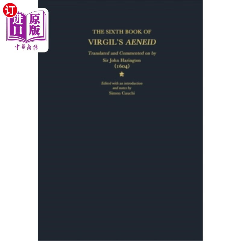 sixth book of virgils aeneid 维吉尔的《埃涅阿斯纪》第六卷