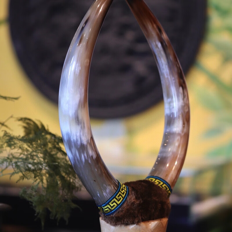 披毛犀角大牛角摆件高端文玩摆件野牛高端牛鱼子纹牦牛角对摆