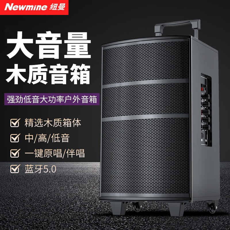 纽曼 K97广场舞音响户外大音量无线蓝牙音箱小型家用插卡收音手提便携式地摊摆喇叭微信收款语音播报器 L23尊贵版【单麦克风】黑色 官方标配