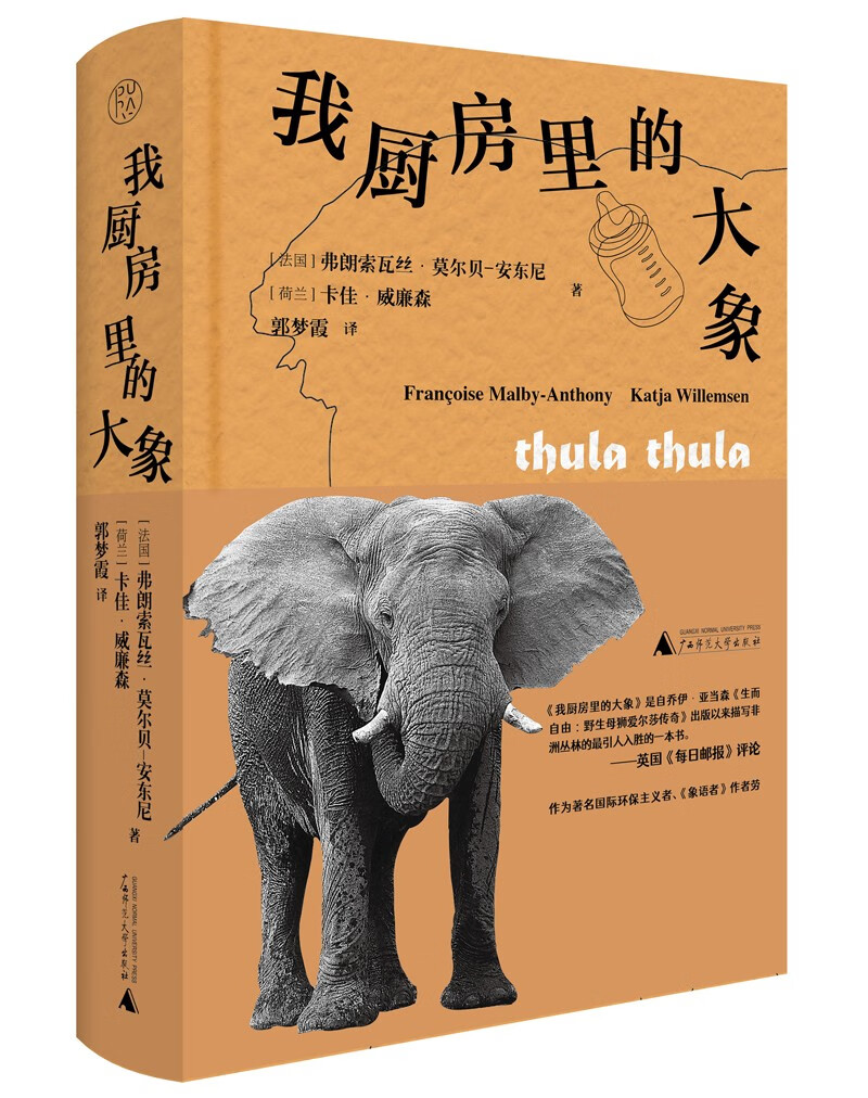 纯粹·我厨房里的大象