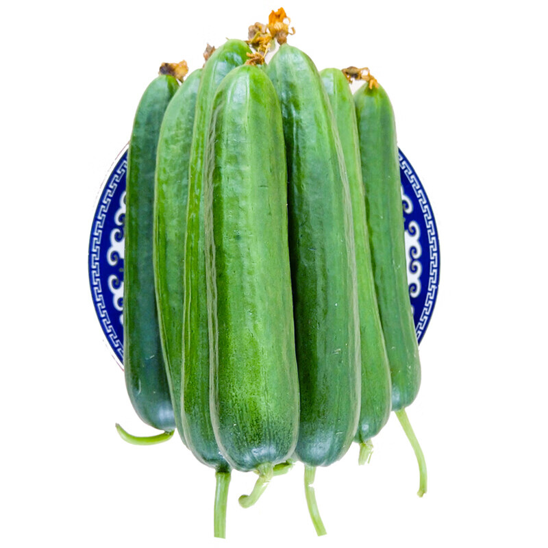 果仙享 新鲜水果无刺小黄瓜 5斤装 新鲜蔬菜