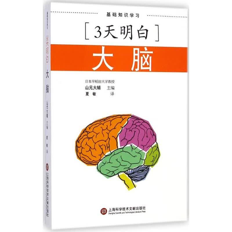 大脑