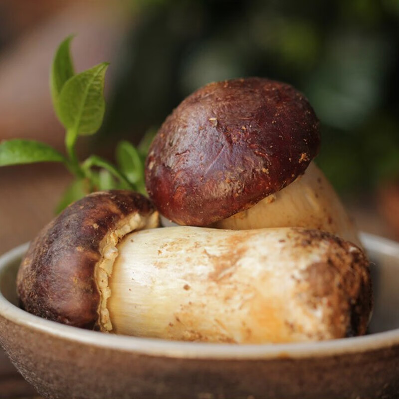 美果汇新鲜姬松茸云南特产当季时令蔬菜食用菌鲜蘑菇 250g精选装