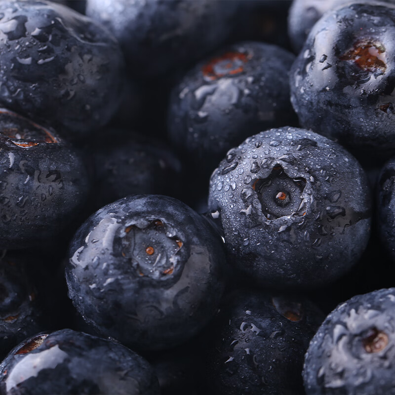 千园九味L25花香蓝莓新鲜蓝莓鲜果盒装应当季水果现摘现发京鲜大果礼盒 4盒单盒100g【单果12mm+】