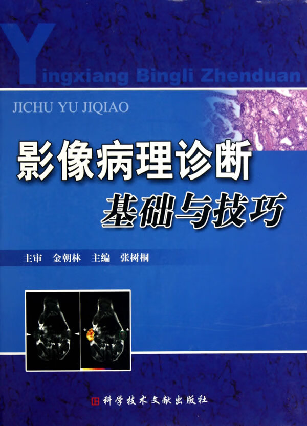 ying像病理诊断基础与技巧