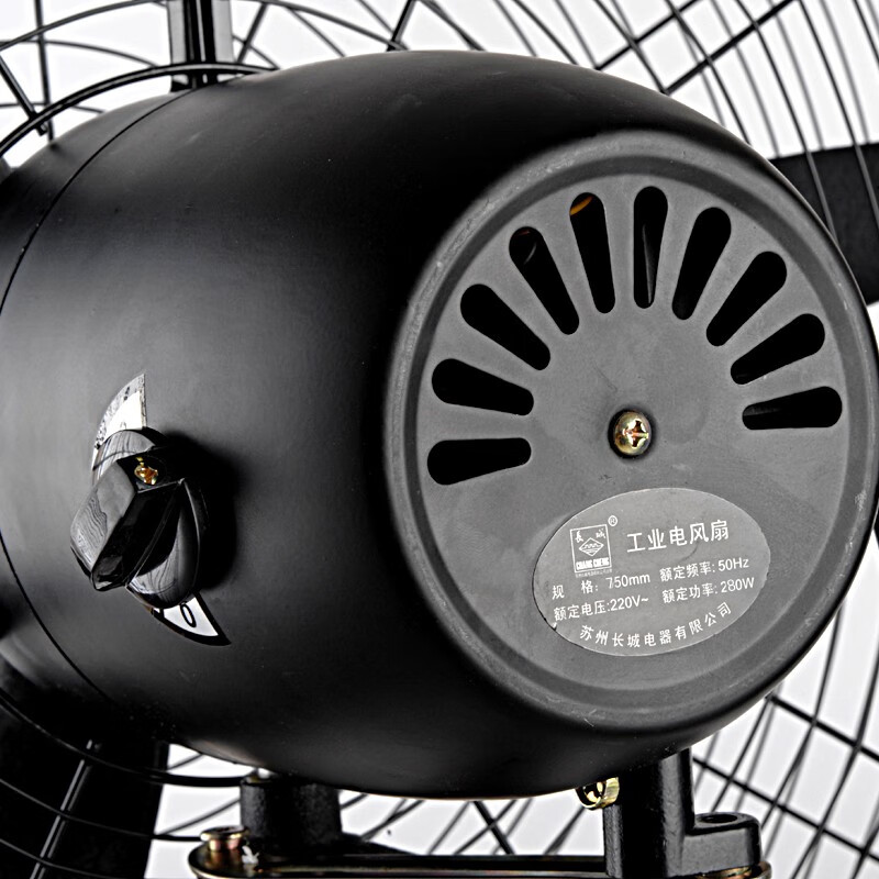 长城 工业风扇大风力电风扇强力落地式大风量牛角扇大功率商用吹除甲醛工厂车间工地立式摇头落地风扇 工业落地扇75CM网罩FL-75P