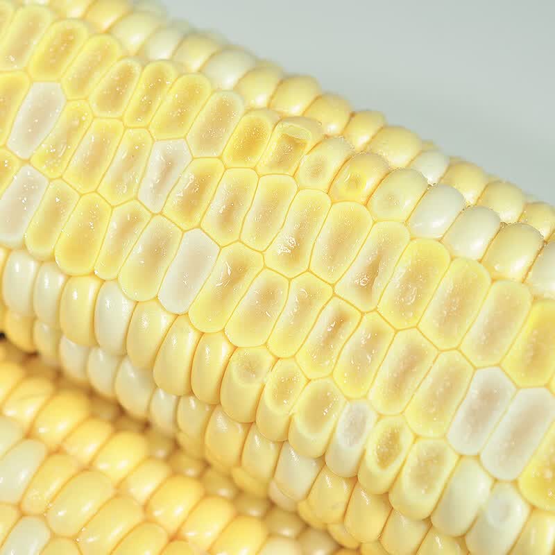 中鲜生水果玉米新鲜甜玉米 云南新鲜玉米茄果瓜蔬菜生鲜蔬菜 净重3斤 【单根300g+】金银水果玉米品质装