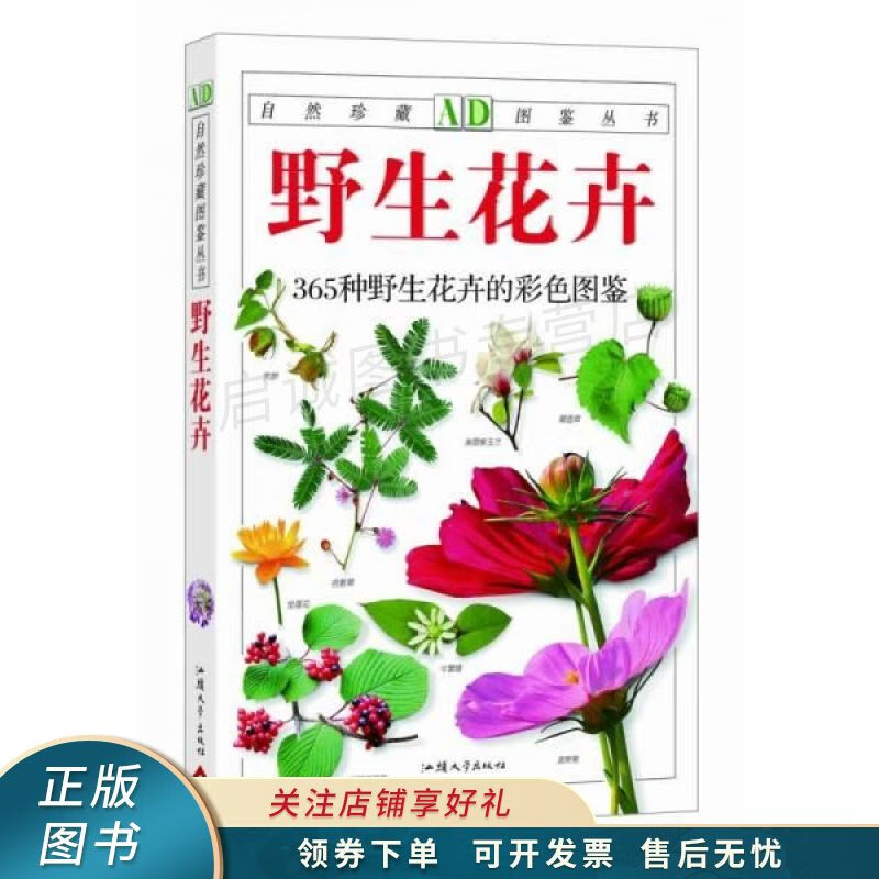野生花卉：365种野生花卉的彩色图鉴 江珊