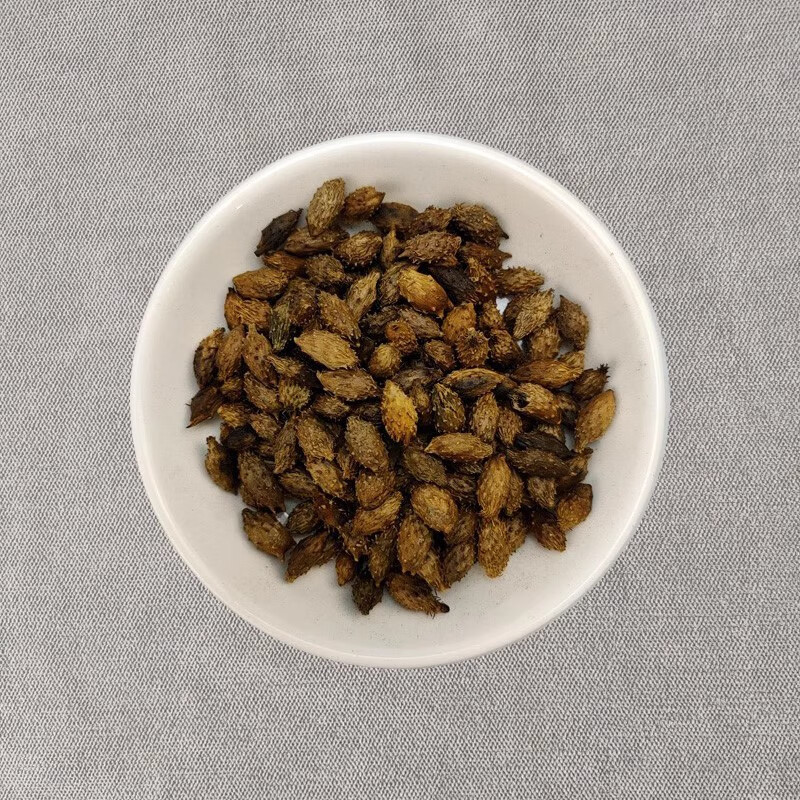 炒苍耳子包邮1kg中药材店铺 中药材店铺 可拆零分装 100g(拆零密封