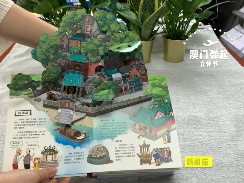 澳门弹起详情图