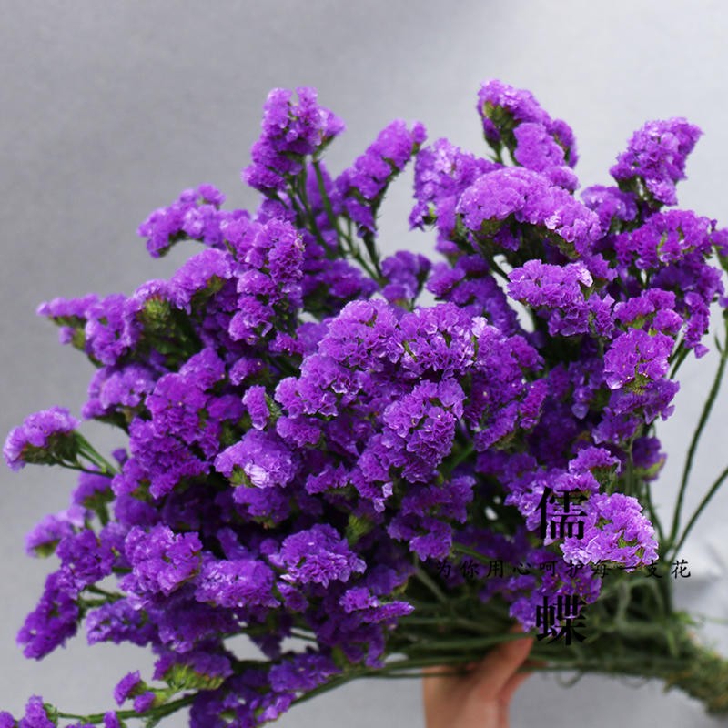 怎么查看京东干花商品历史价格|干花价格走势图