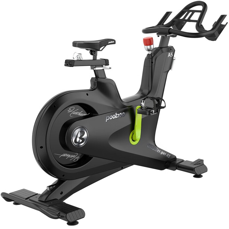 蓝堡 动感单车高端商用健身房静音健身器材室内自行车运动脚踏磁控健身车A5 商用单车黑绿色