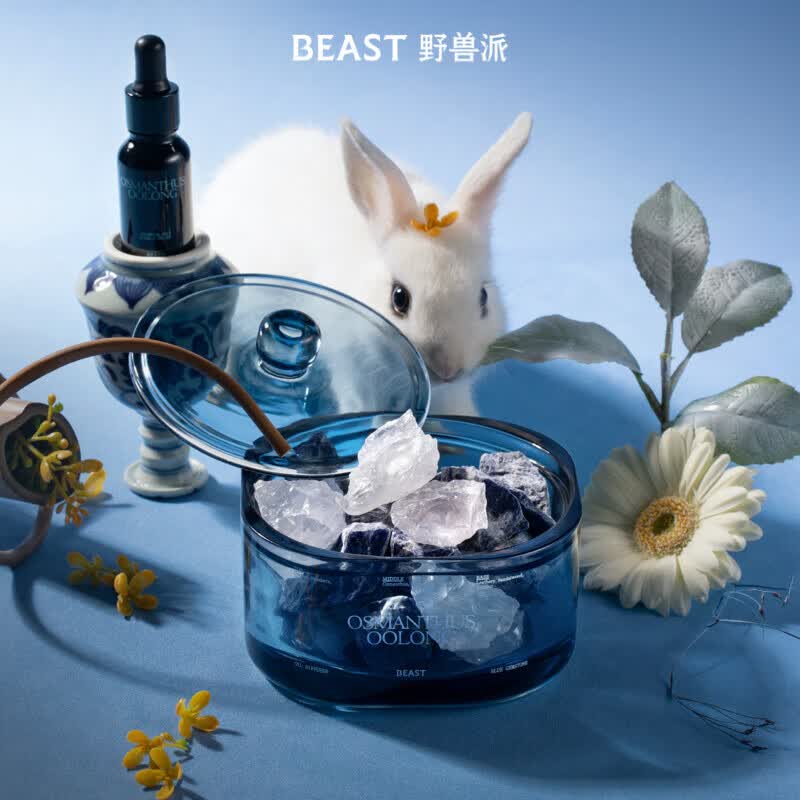 野兽派（THE BEAST）桂花乌龙大号晶石香薰礼盒(含2瓶精油)中秋节礼物生日礼物属于什么档次？
