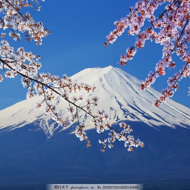 筏芯数字油画diy风景花卉日本富士山樱花手工填充手绘填色客厅装饰画