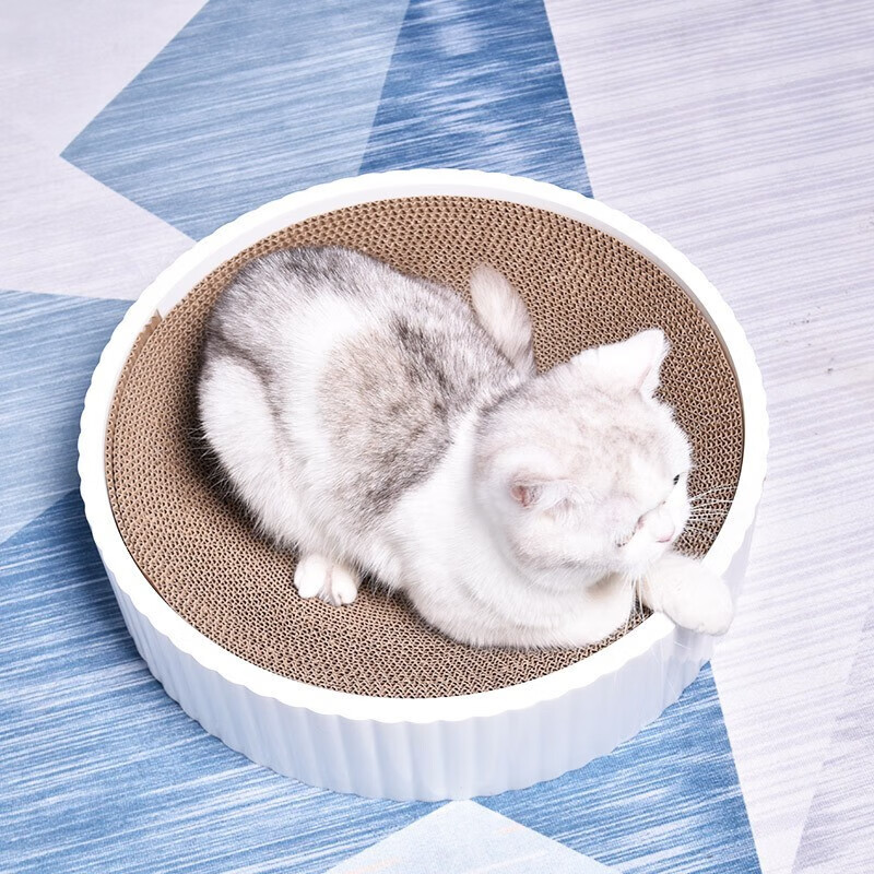 Dr.Bio 猫抓板猫窝猫爪板瓦楞纸猫窝逗猫玩具沙发保护猫咪用品 圆形猫抓板