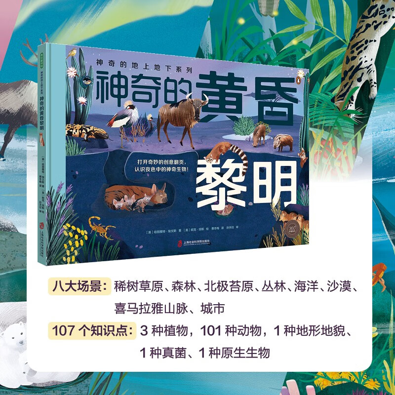 神奇的地上地下系列（神奇的沙滩海洋+神奇的黄昏黎明）创意翻页，自然科普自然观察美景图画科普启蒙详情图