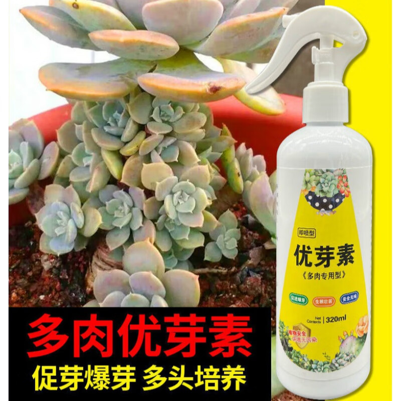 晗畅多肉爆芽素直喷优芽素生根爆芽王催芽素通用催芽营养液爆头发芽素