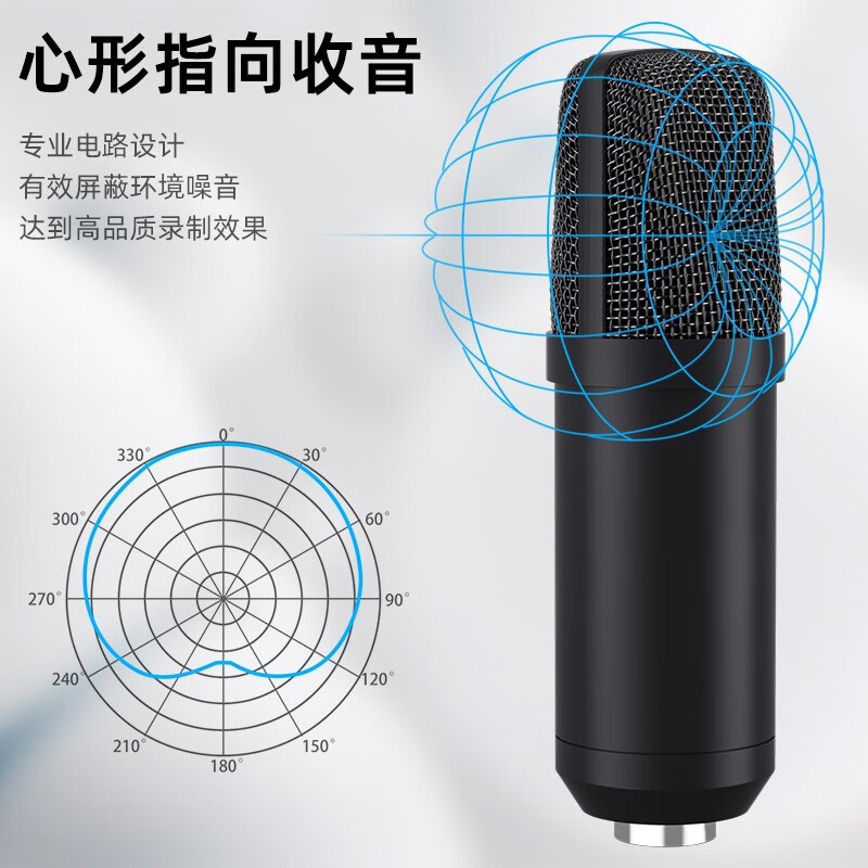 闪克（Sudotack） 电脑麦克风笔记本USB专业电容麦唱歌游戏直播话筒录音配音网课K歌闪客啵啵麦 PM401T(新升级可监听）