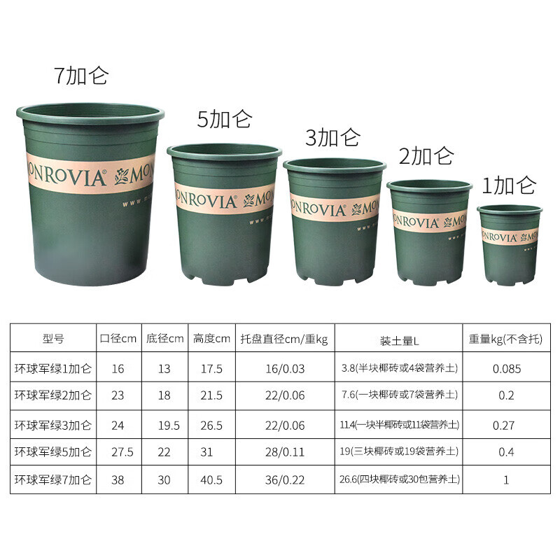 室内阳台盆栽月季君子兰花盘特大号 1加仑(花盆 托盘) 大