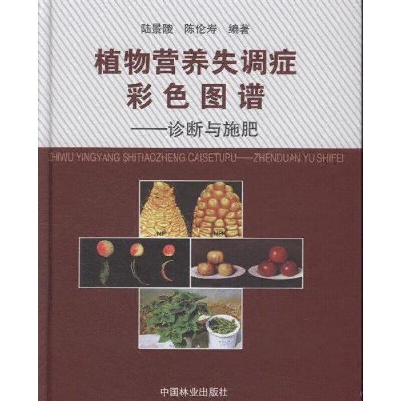 植物营养失调症彩色图谱—诊断与施肥 陆景陵陈伦寿主编