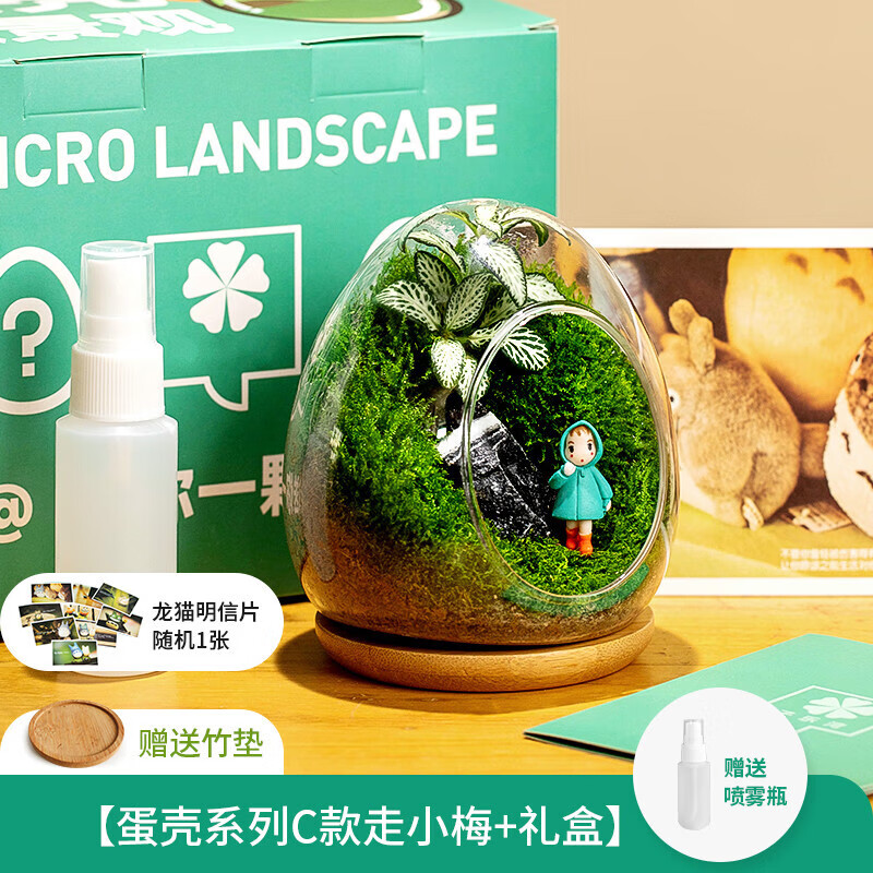 元族苔藓微景观生态瓶闷养桌面迷你小盆栽办公室内创意造景绿植物摆件 蛋壳微景C款+公仔小梅+礼盒 含盆怎么样,好用不?
