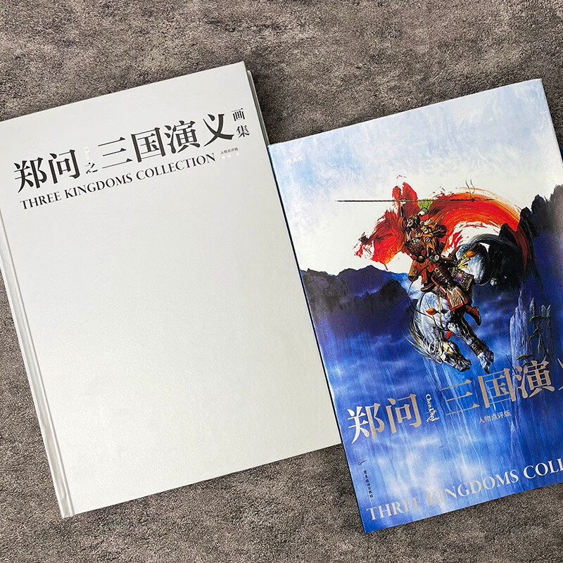后浪官方正版 郑问之三国演义画集 人物点评版 郑问著 水墨画三国人物画像主题纪念画集 后浪漫漫画