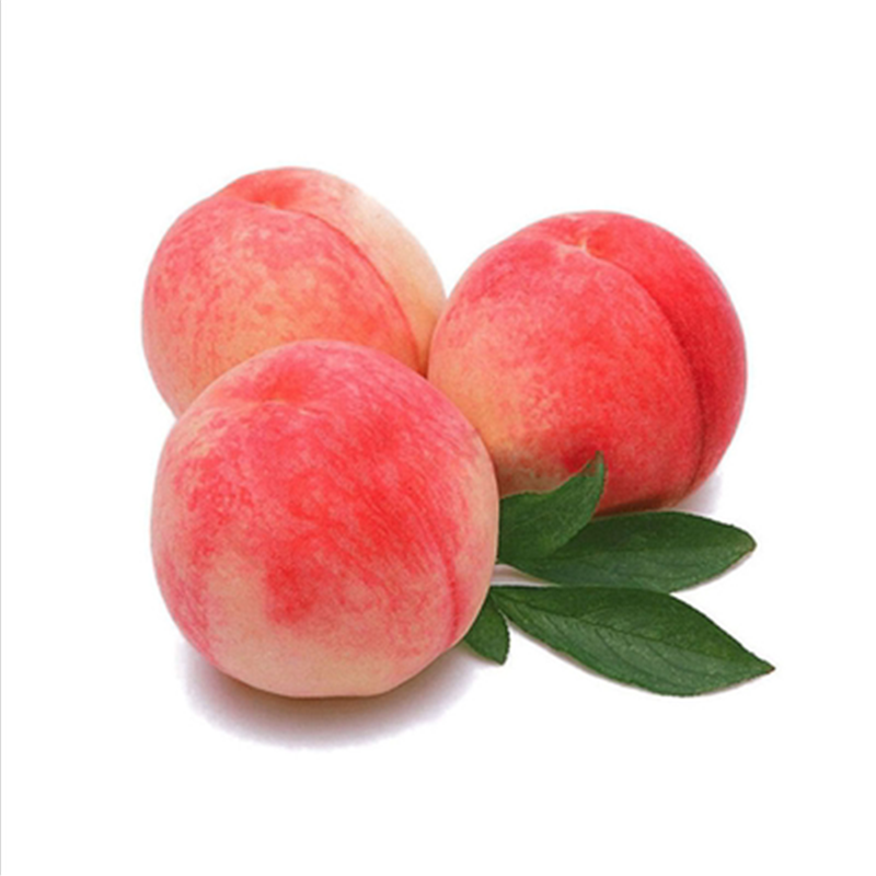 现摘新鲜水蜜桃当季孕妇水果脆甜桃软毛桃子整箱 1500g