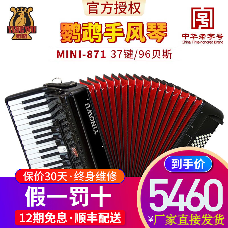 鹦鹉（YINGWU）鹦鹉牌手风琴 MINI871键盘37键96贝斯键盘专业初学者成人儿童乐器 96贝司 黑色 MINI款