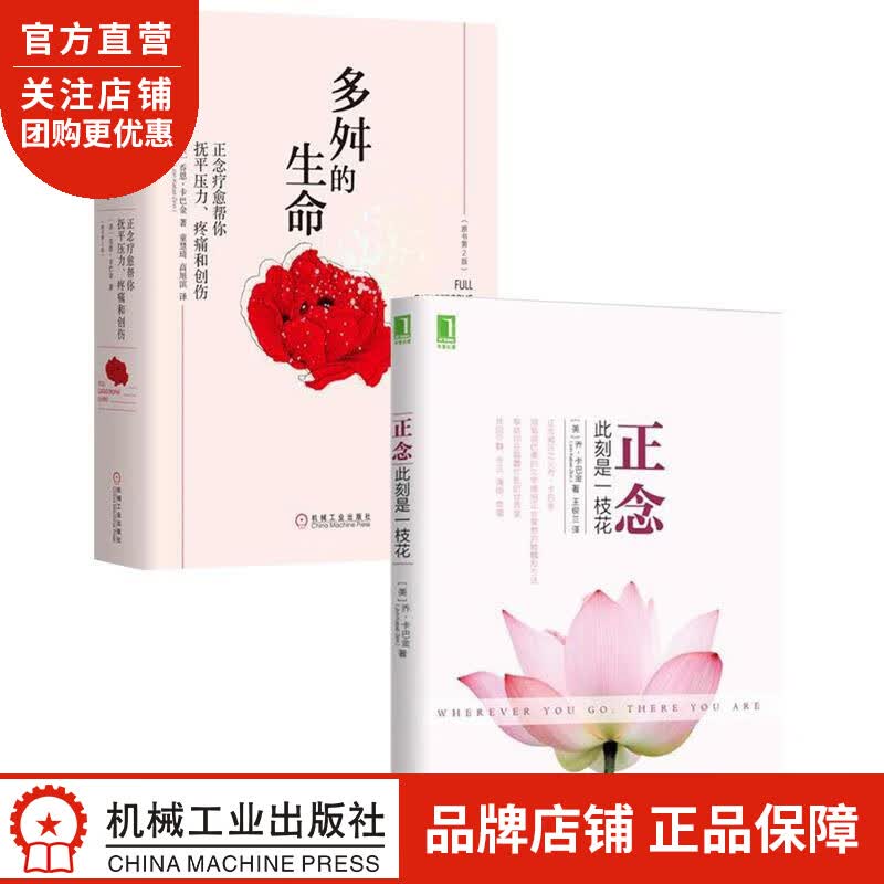 [套装书]正念:此刻是一枝花+多舛的生命:正念疗愈帮你抚平压力、疼痛和创|8082563