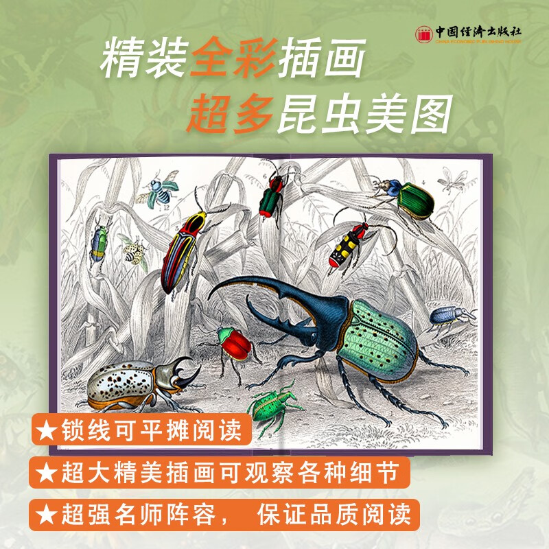 昆虫记（美绘精装版）暑假阅读暑假课外书课外暑假自主阅读暑期假期读物详情图