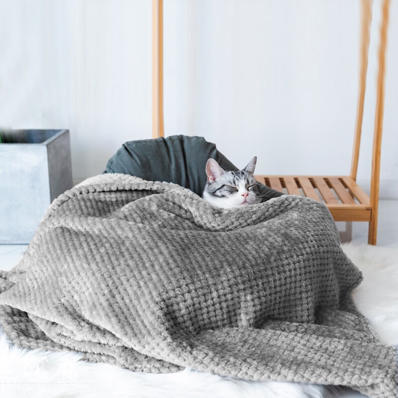 茨格曼 猫毯子被子冬天用保暖宠物狗狗毛毯子宠物窝垫睡垫猫咪狗被子 玉米绒纯色毛毯--灰色【45*65】 *