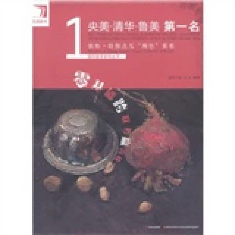 【正版速发】完美教学 央美 清华 鲁美  张松 给你点儿颜色看看使用感如何?