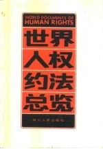 世界人权约法总览9787220009242