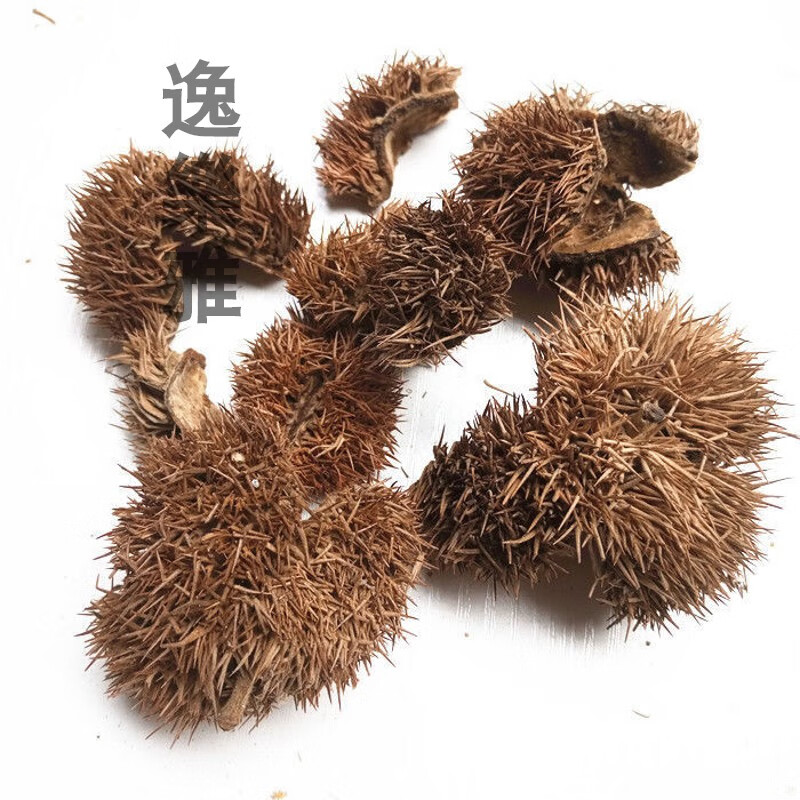北京同仁堂原料板栗蓬带刺板栗球栗刺壳风栗壳板粟刺粟子刺壳晒干迁西