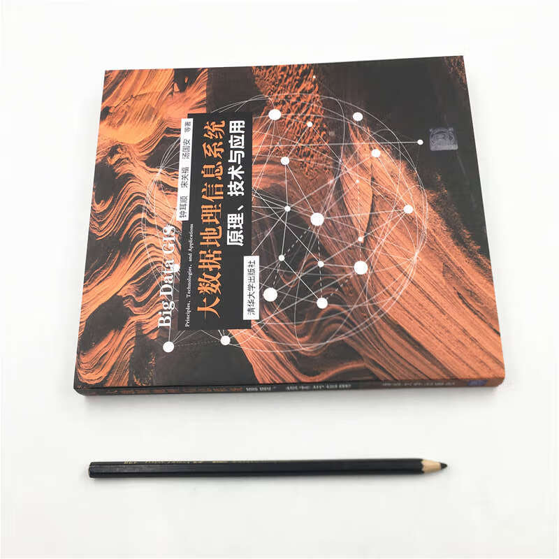 大数据地理信息系统：原理、技术与应用详情图