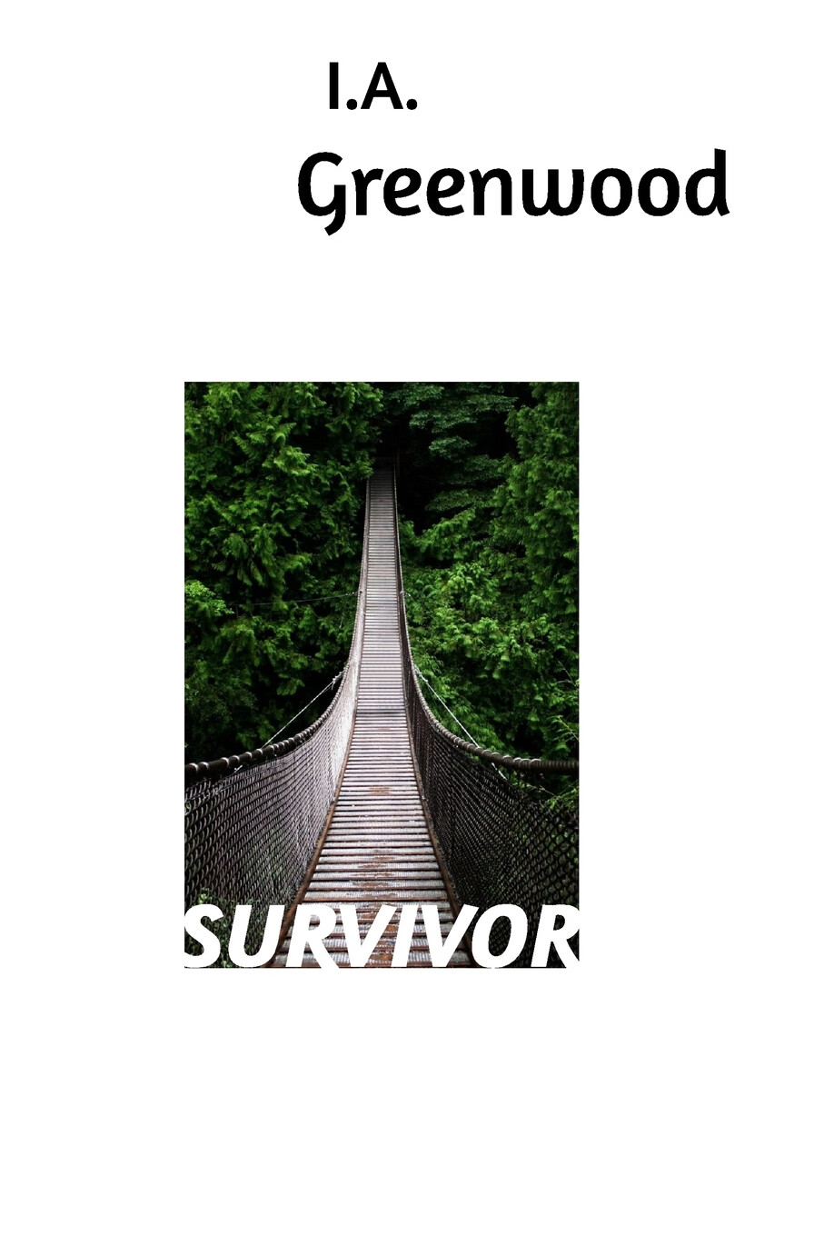 【预售 按需印刷】survivor