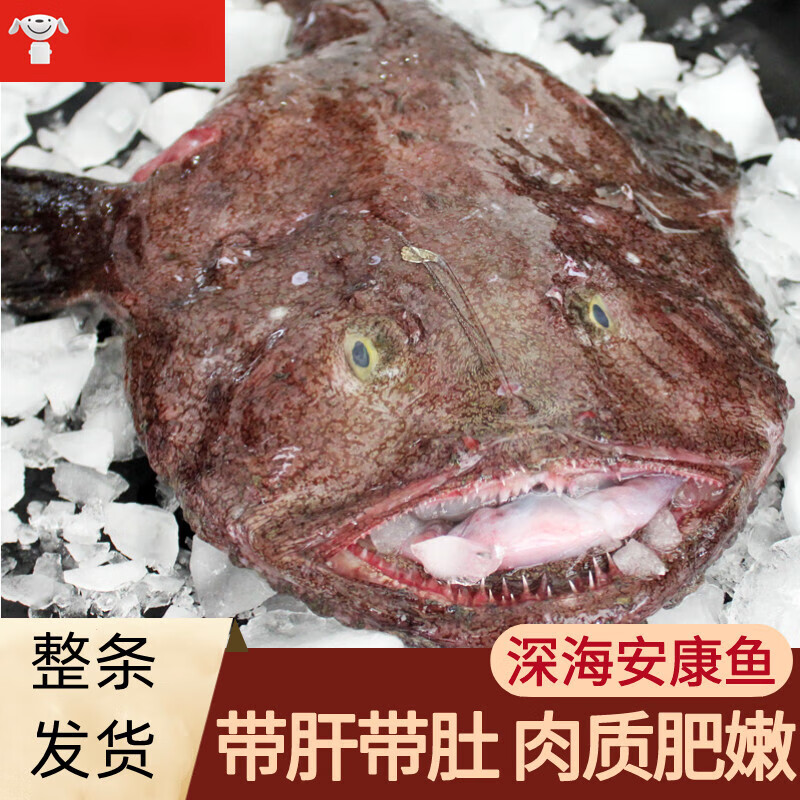 安峰山安康鱼灯笼鱼鮟鱇鱼超大蛤蟆鱼大嘴鱼去内脏保留鱼肝鱼肚海捕