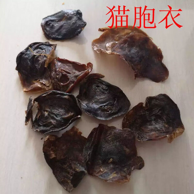 星禾堂 猫胞衣 中药材原料 精选 猫胎盘 猫胞 1个