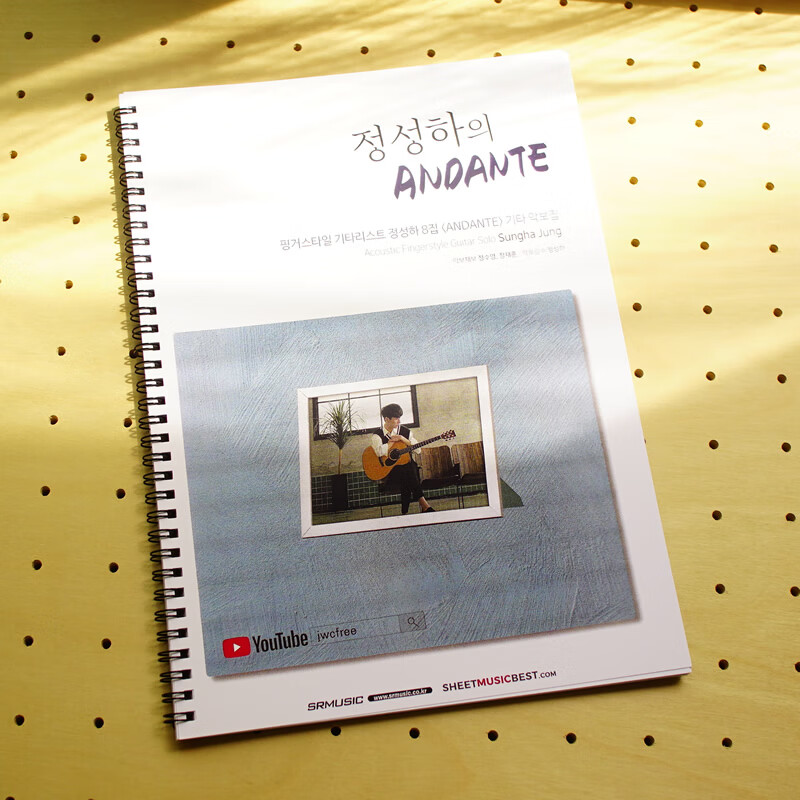 9成新 郑成河andante专辑民谣指弹吉他谱六线乐谱教材 线乐谱教材