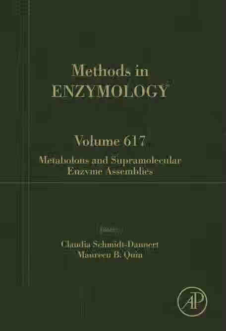 预售 按需印刷 metabolons and supramolecular enzyme assemblies