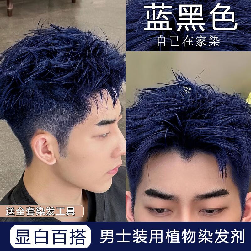 爱琳伊尔(ailinyier)男士专用染发剂蓝黑色盖白发染发膏自己染一步