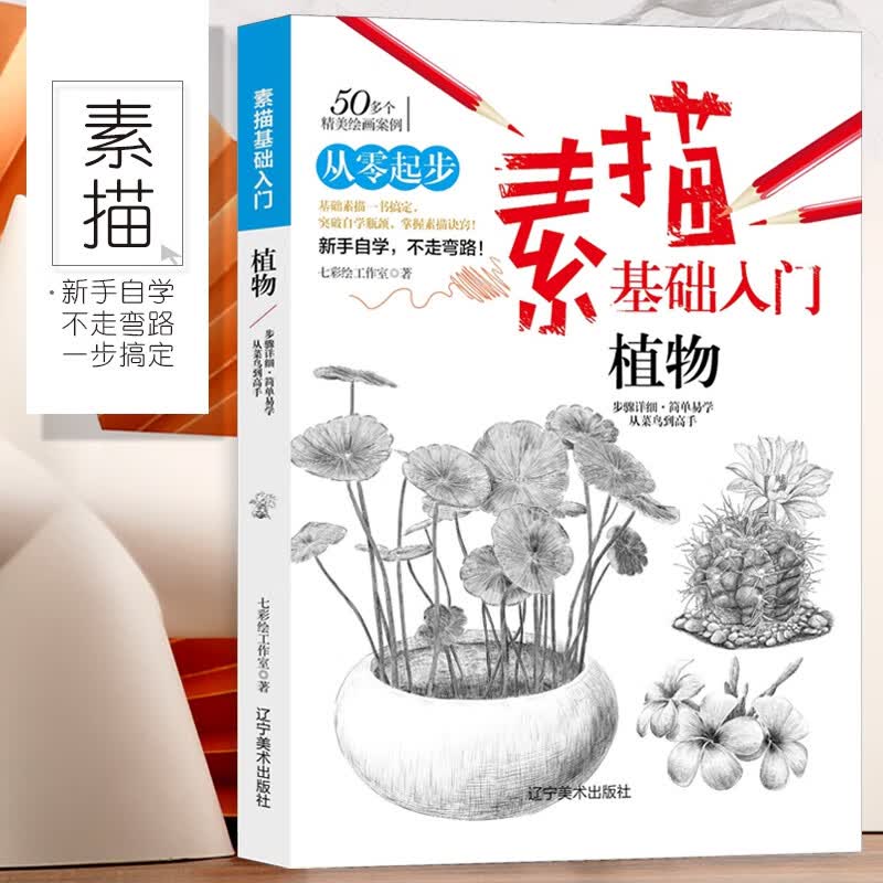 植物