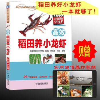 高效稻田养小龙虾 机械工业出版社 9787111605997