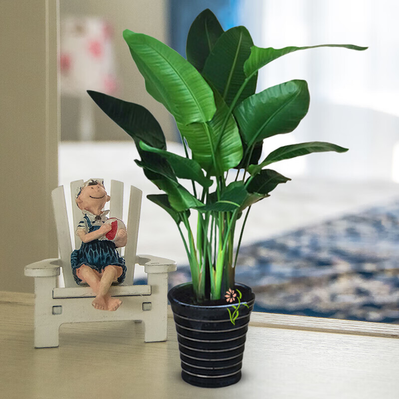 查看京东大型绿植历史价格|大型绿植价格走势图