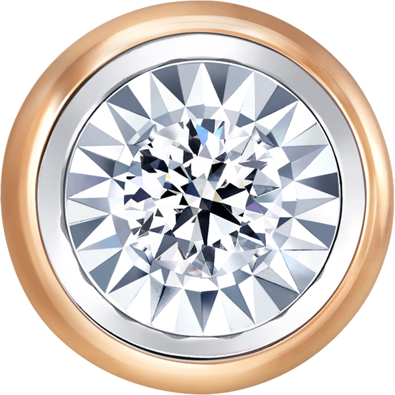 С ʯ 18KõƽŻõֻʽ 92876E 2750Ԫ