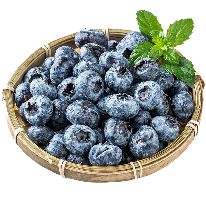 代养  fushengs蓝莓4盒大果装恒温抗压箱 49.8元