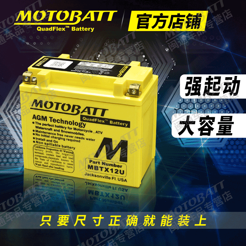 宝马bmw600cc C600 F700gs摩托车电瓶12v蓄电池免维护 虎窝购
